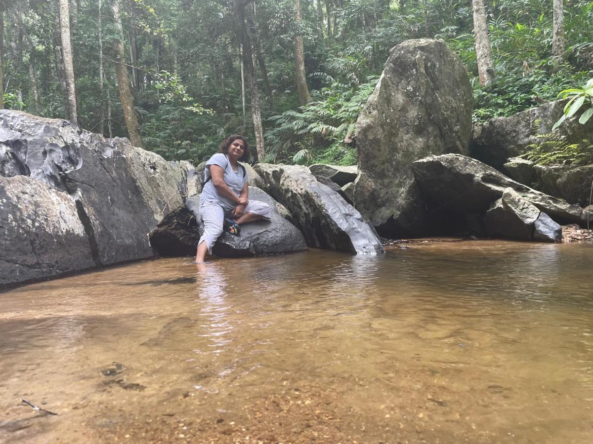 마디케리 Rai'S Coorg Cave House 빌라 외부 사진