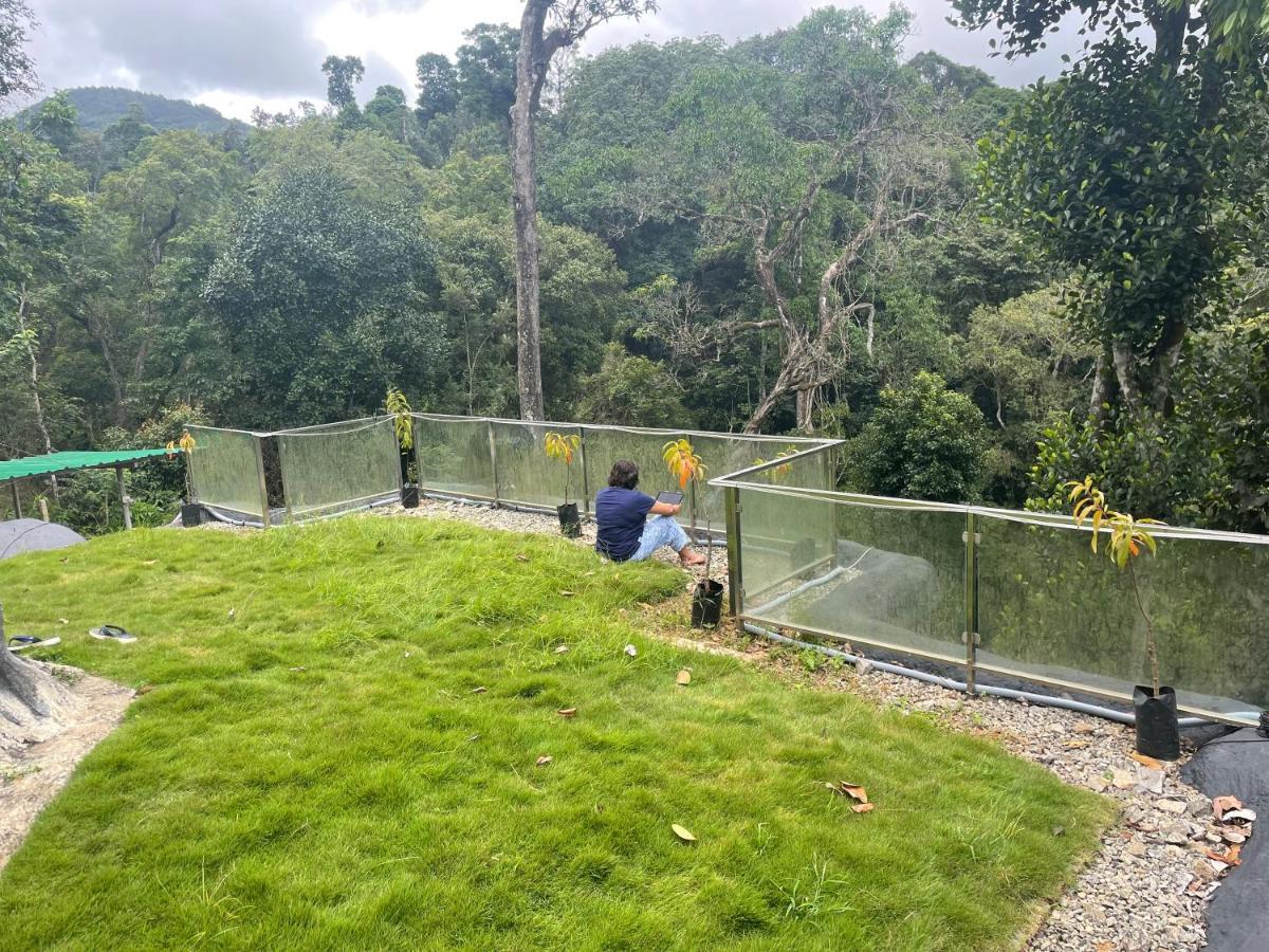 마디케리 Rai'S Coorg Cave House 빌라 외부 사진